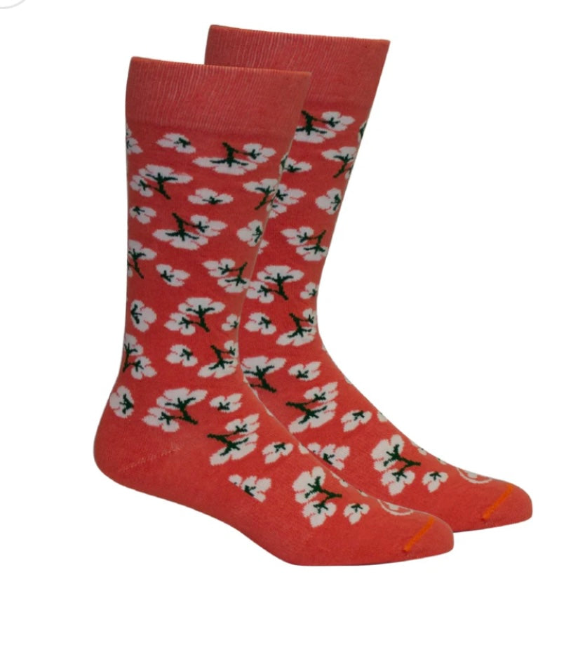 high cotton socks, dubarry | brown dog