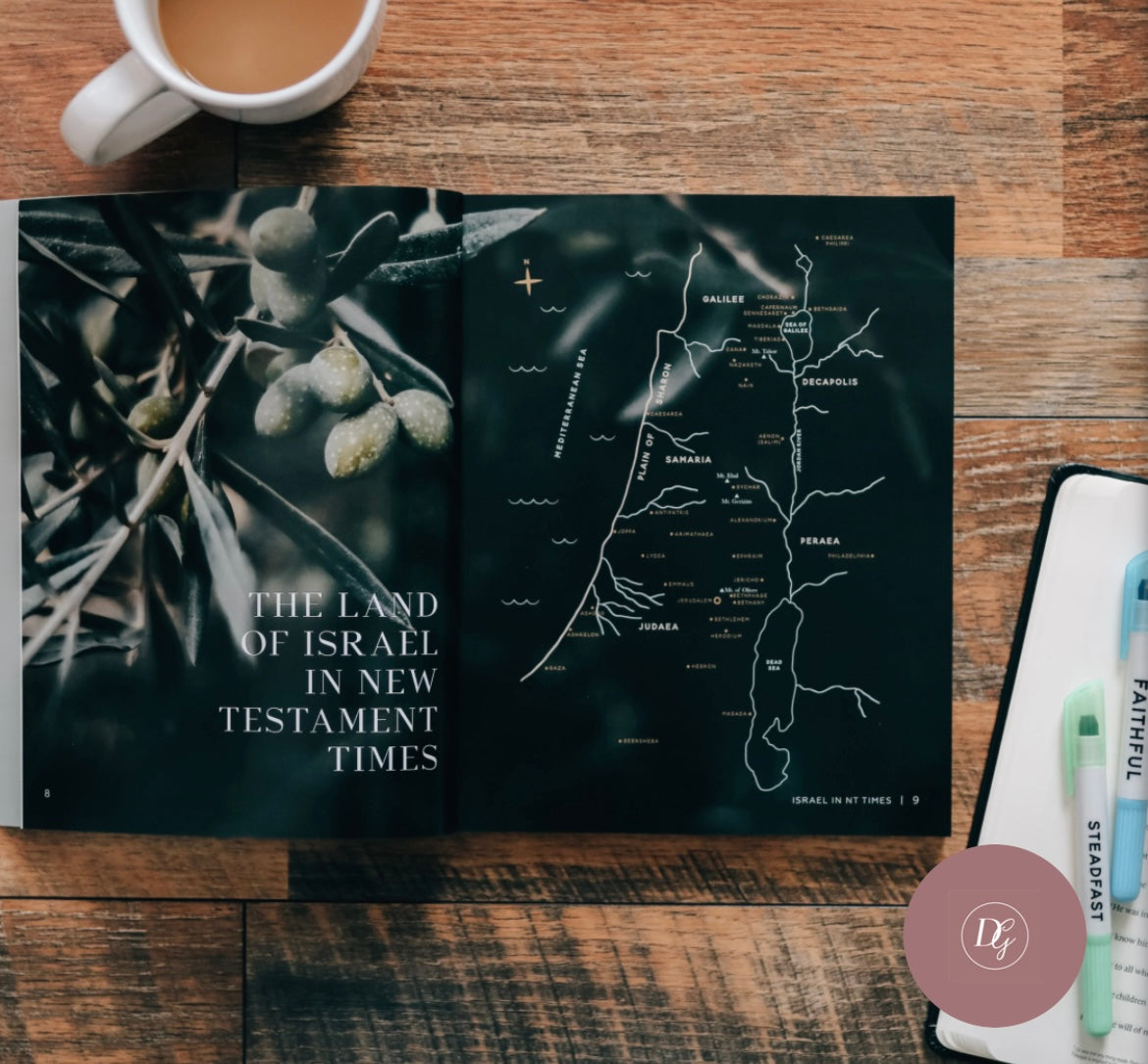come and see - john study men | the daily grace co