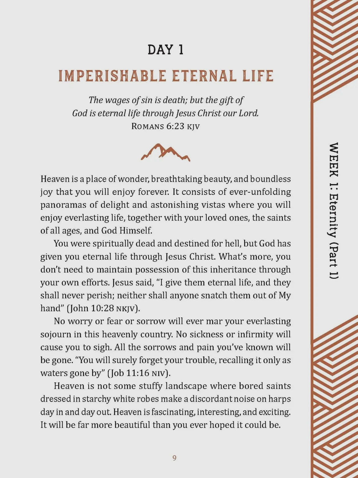 Bible promise book devotion for men