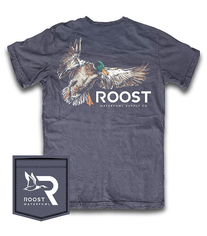 roost painted mallard