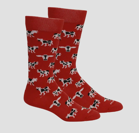 mabel socks, red | brown dog