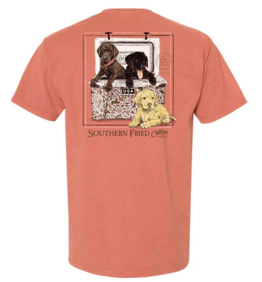 murphy & friends | southern fried cotton
