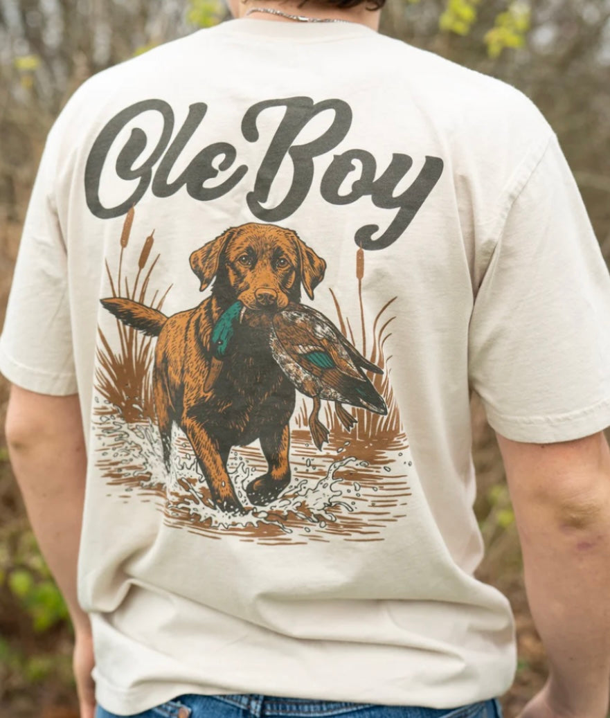 chocolate lab t-shirt | ole boy