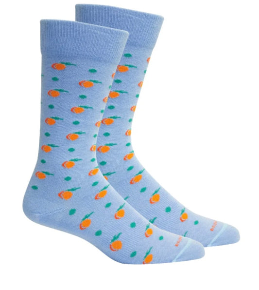 peaches, della blue | brown dog