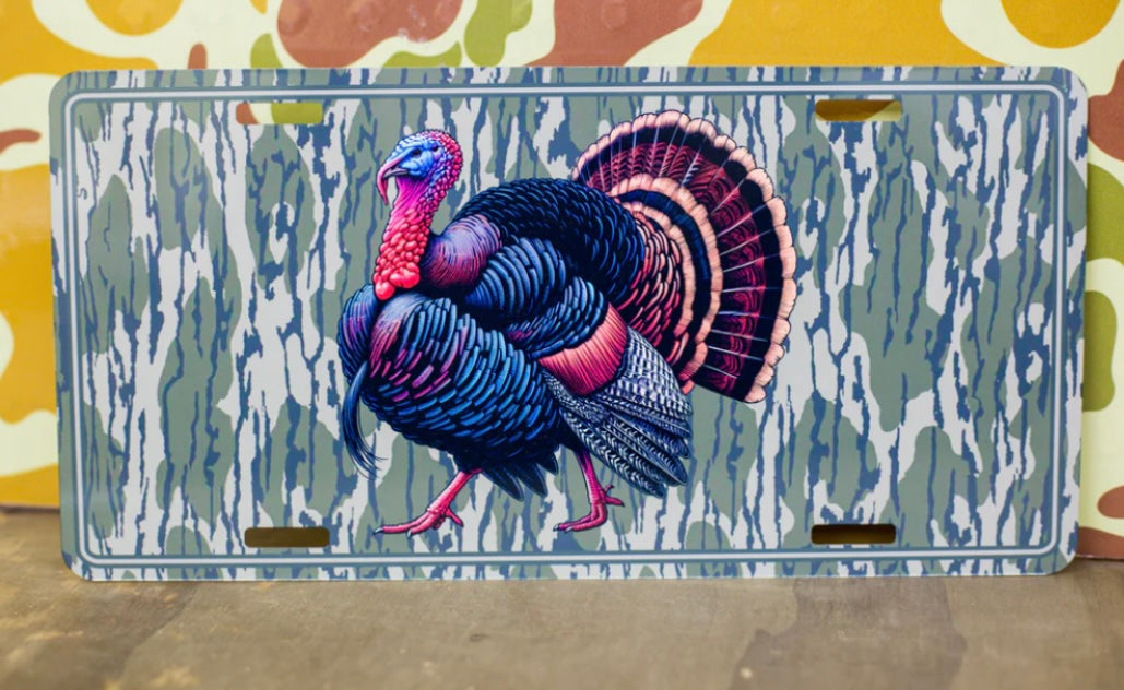 turkey license plate