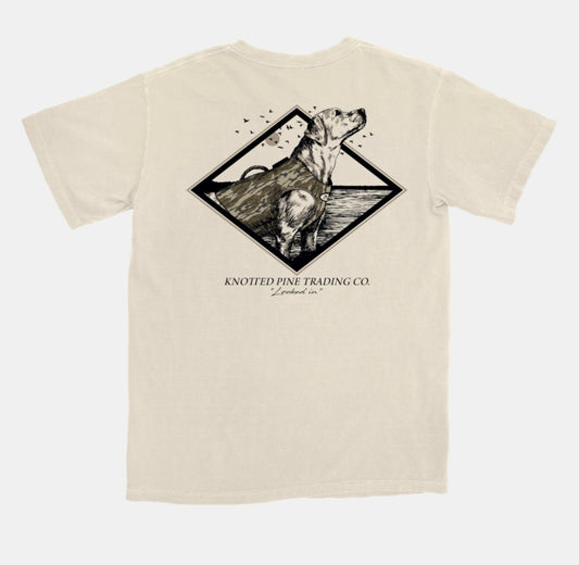 locked in | knotted pine