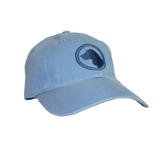 320 Richardson washed chino hat, Columbia blue | brown dog