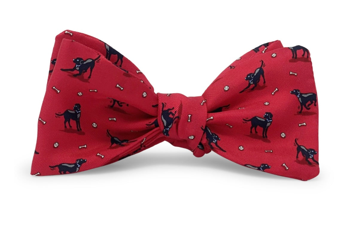 black lab heaven bowtie red | collared greens