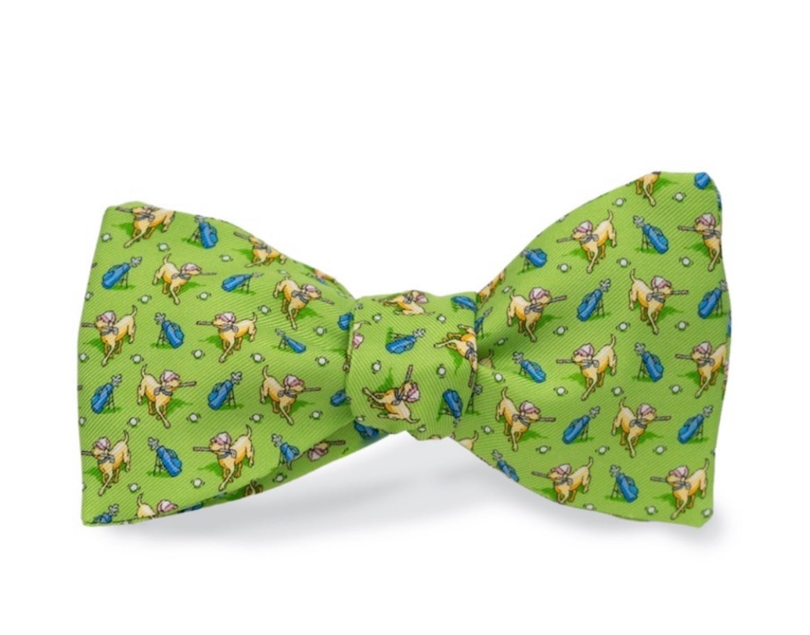 canine caddy bow tie, lime | bird dog bay