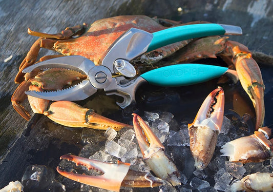 crab cutter | toadfish