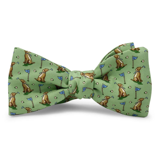 dogleg on six bow tie, mint/chocolate | bird dog bay