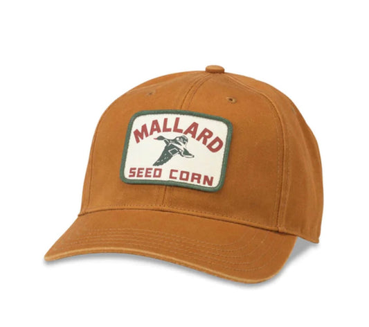 mallard seed corn cap