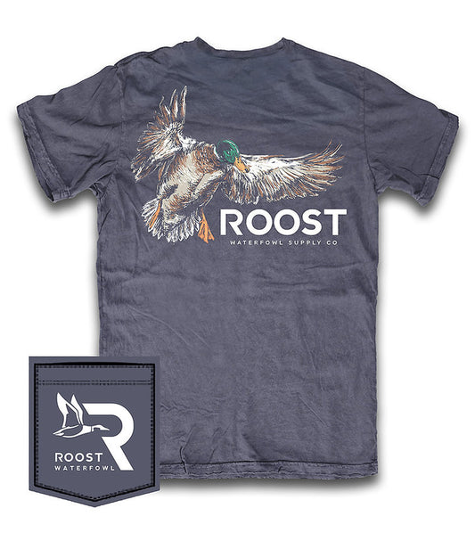 roost painted mallard